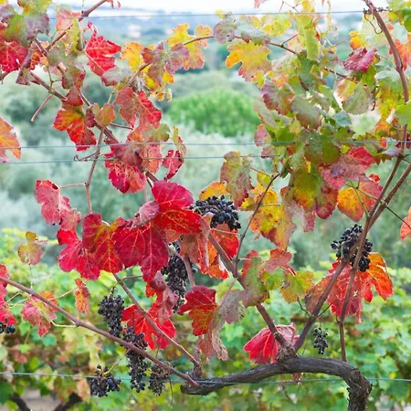 Domaine Paradisu Villa